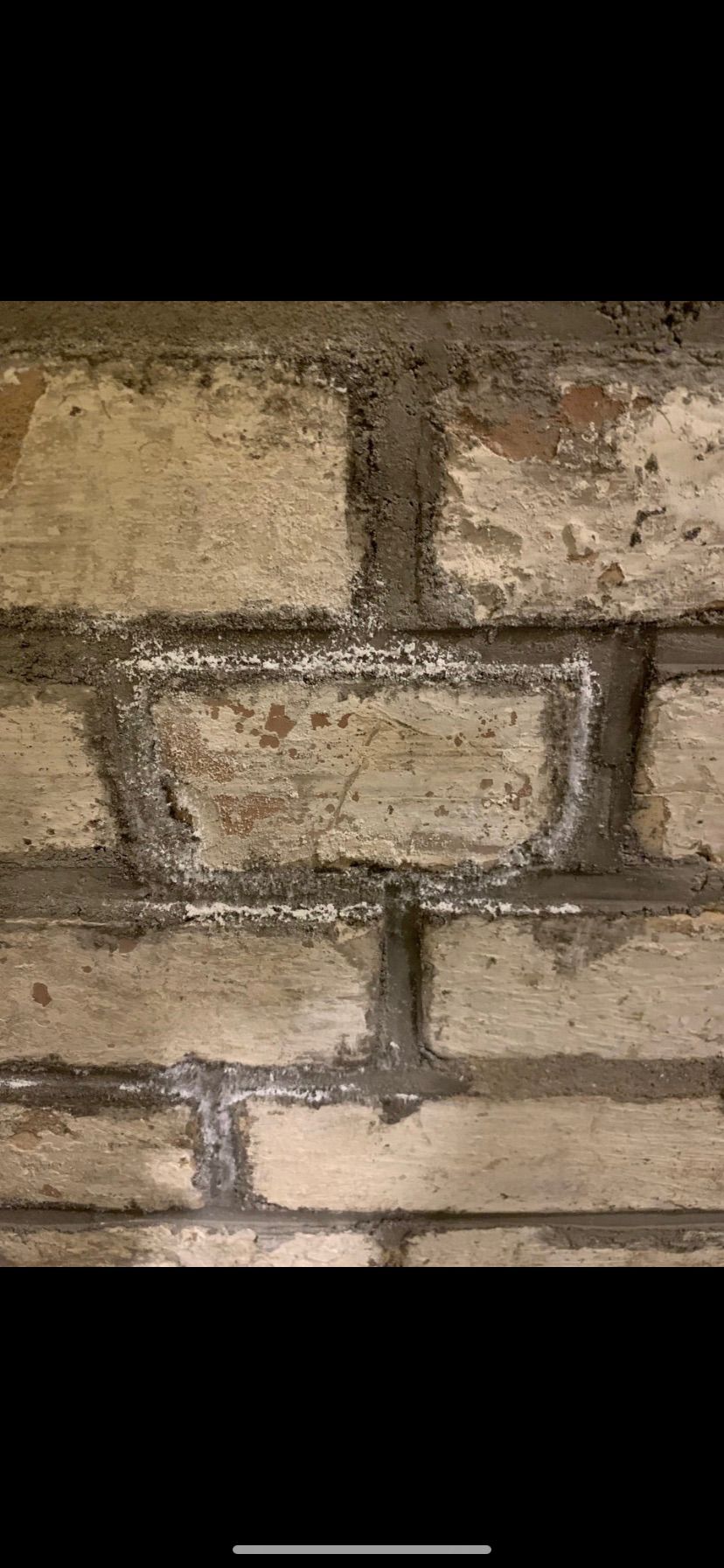 Salzausblühungen Ziegel