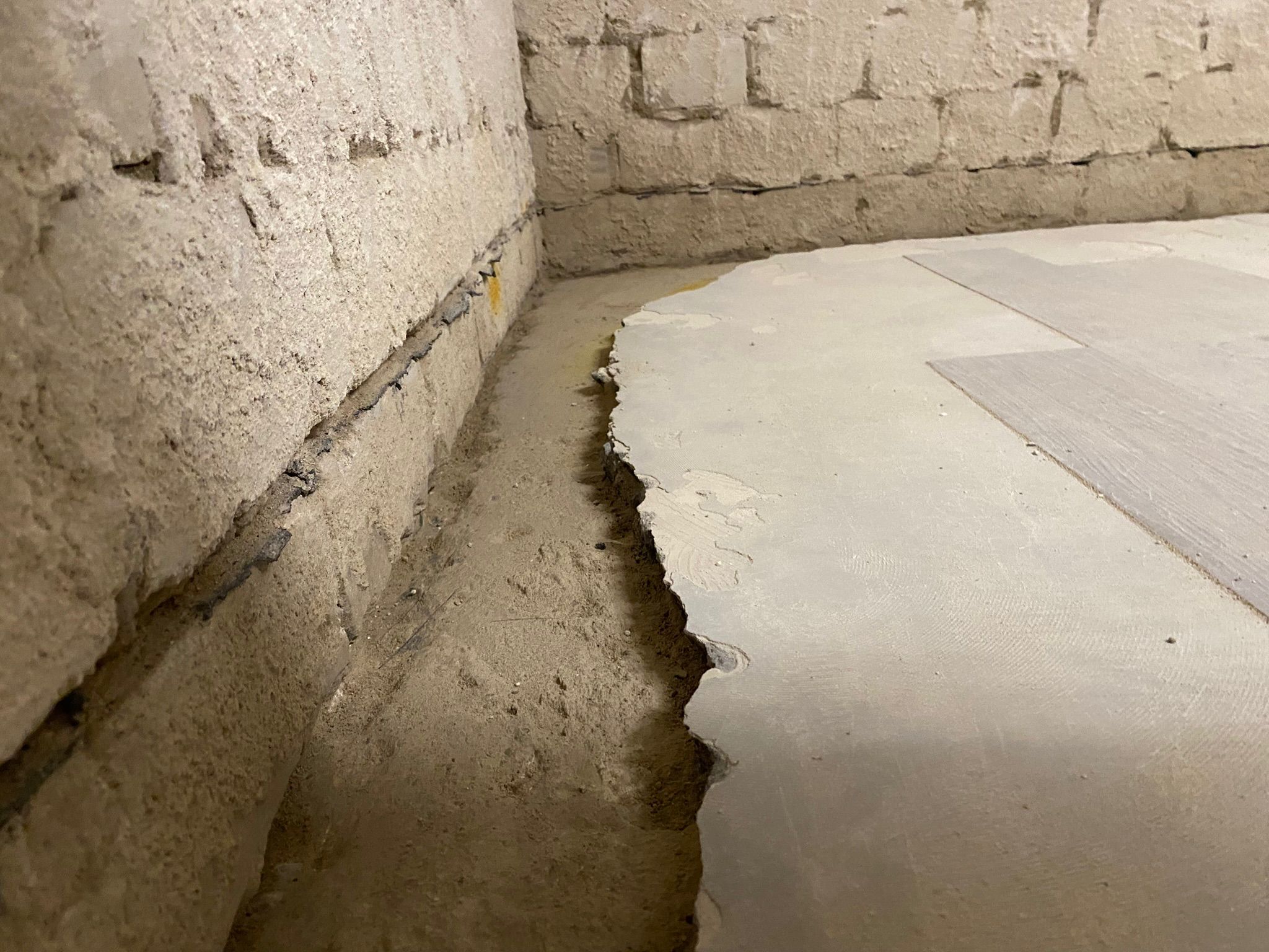 Schimmelbeseitigung in Viersen