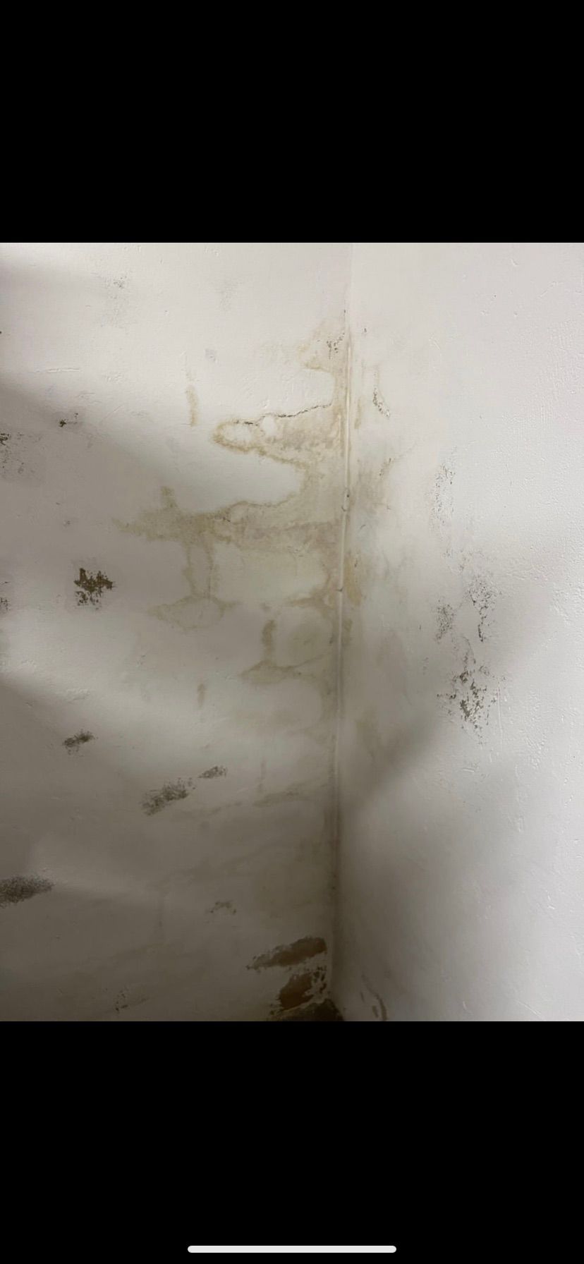 Feuchteschaden an der Wand